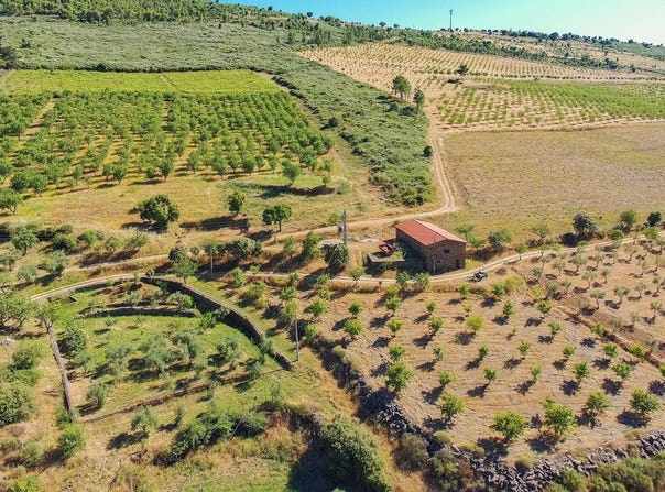 Poiares, Bragança 5180