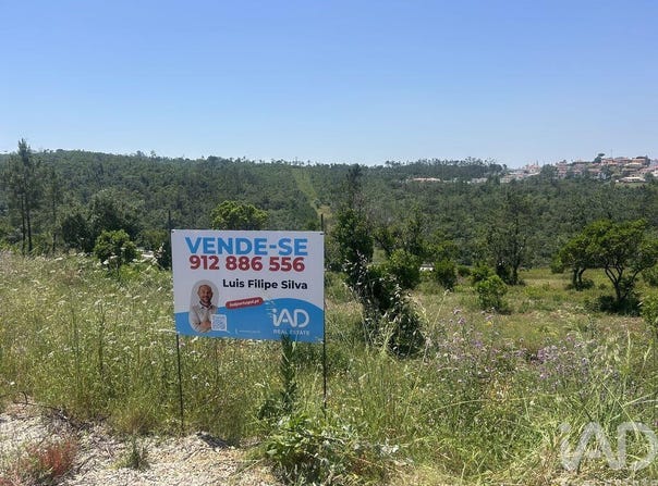 Leiria, Leiria District