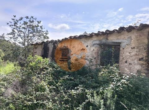 Tavira, Faro 8800-166