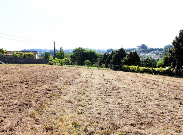 Penafiel, Porto District