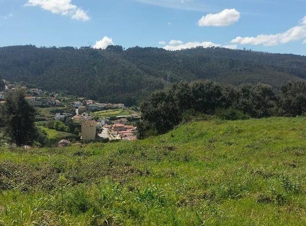 Negrelos (São Tomé), Porto 4795