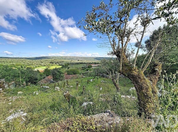 Leiria, Leiria District