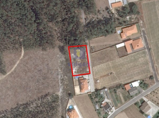 Amor, Leiria District