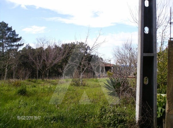 Aguada de Cima, Aveiro District