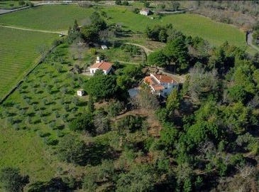Portalegre, Portalegre 7300-429