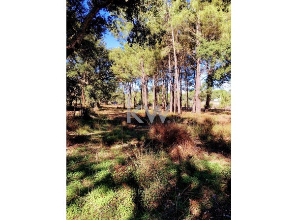 Palmela, Setubal