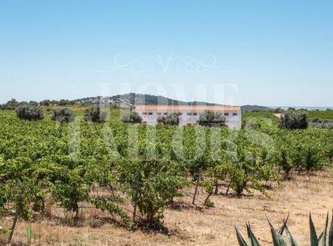 Vidigueira, Beja 7960-432