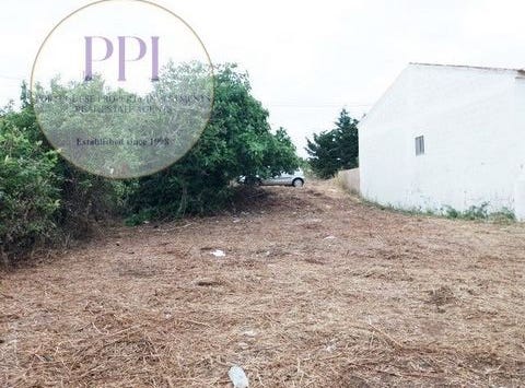 Vila do Bispo, Faro 8650-000