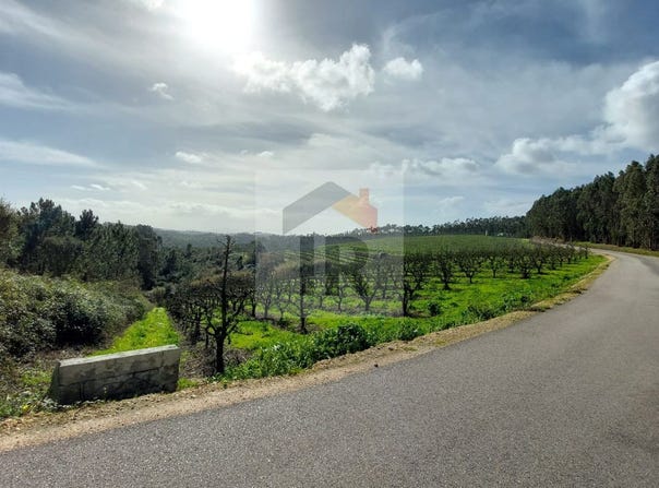 Caldas da Rainha, Leiria District