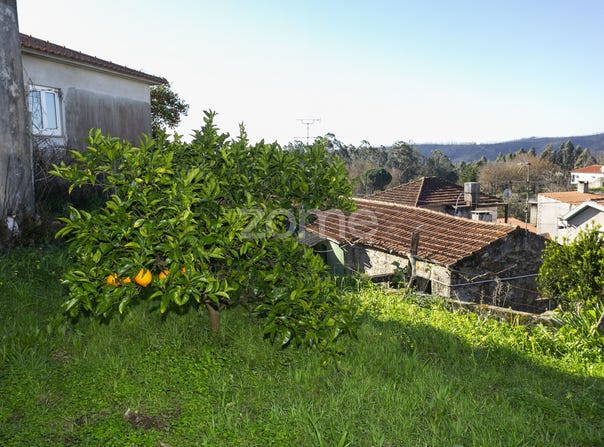 Sever do Vouga, Aveiro District