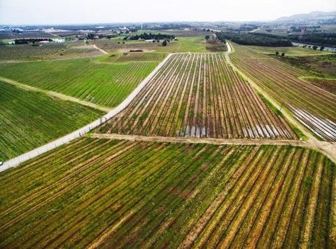Palmela, Setúbal