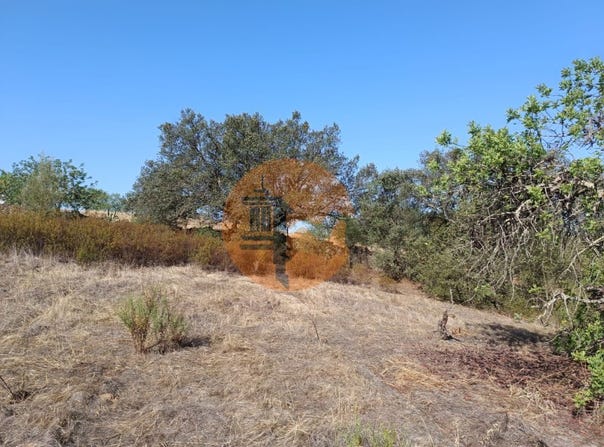 Azinhal, Algarve