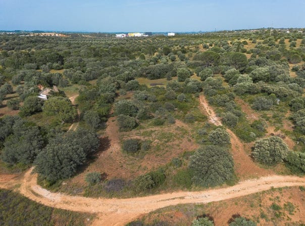 Zibreira, Santarém District