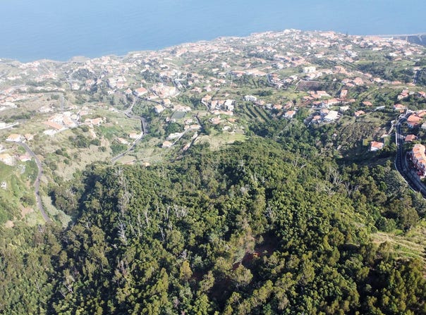 Ilha da Madeira, Madeira
