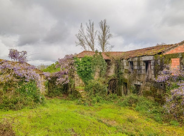 Várzea, Braga