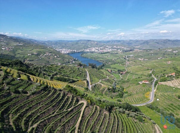 Viseu, Viseu District