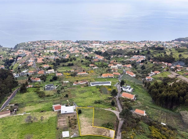 Ilha da Madeira, Madeira