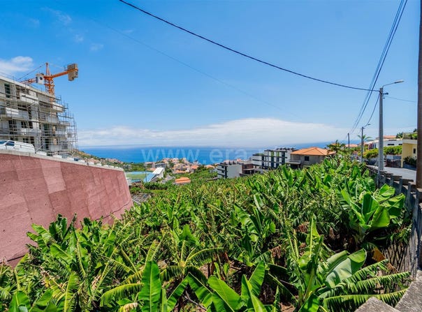 Câmara De Lobos, Madeira 9300