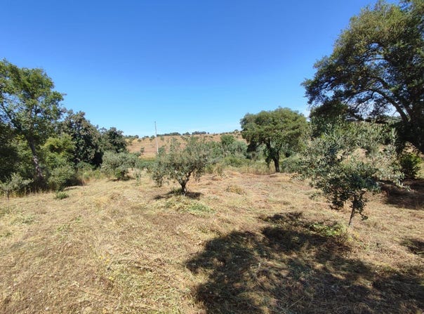Aldeia de Santa Margarida, Castelo Branco District