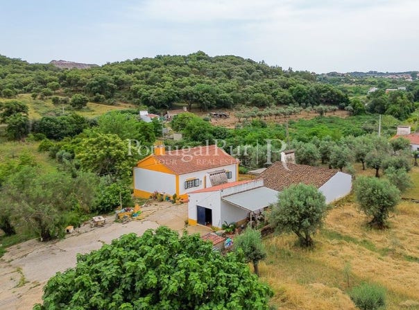 Borba (Matriz), Évora 7150