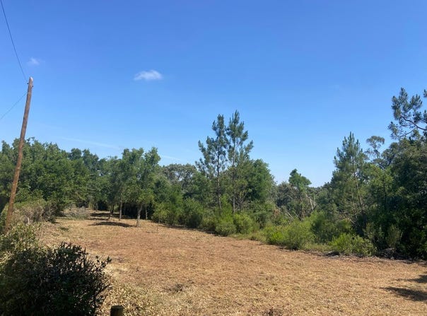 Almoster, Santarém District