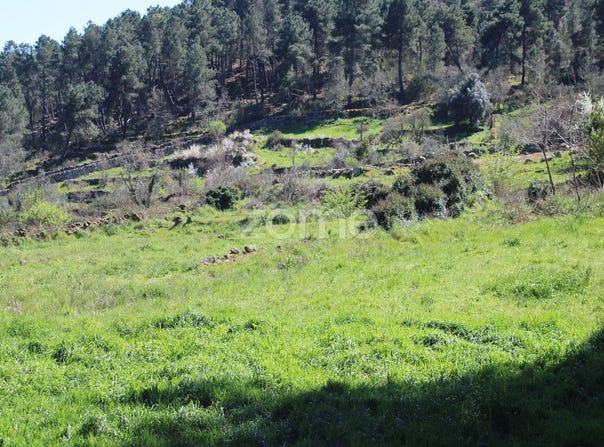 Moimenta da Beira, Viseu District