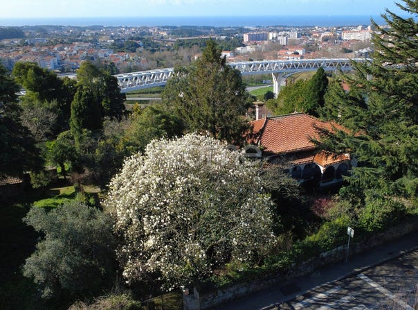 Vila Nova de Gaia, Porto District