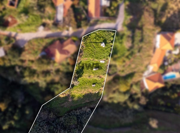 Gaula, Madeira 9100
