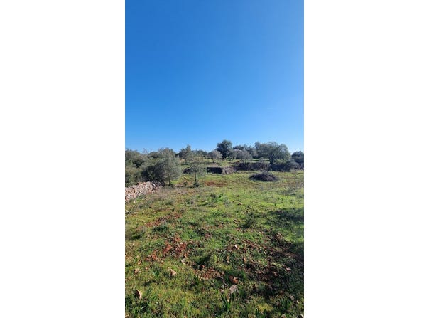 São Bartolomeu de Messines, Algarve