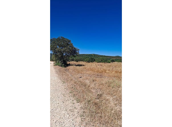 Ferreiras, Algarve
