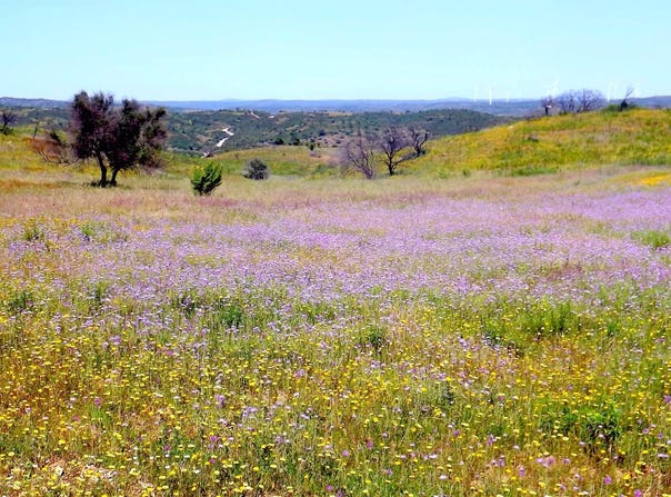 Castro Marim, Algarve 8950-021