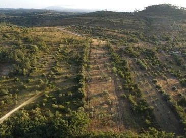 Ferreira do Zêzere, Santarém 2240-300