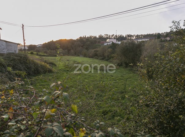 Vale de Cambra, Aveiro District