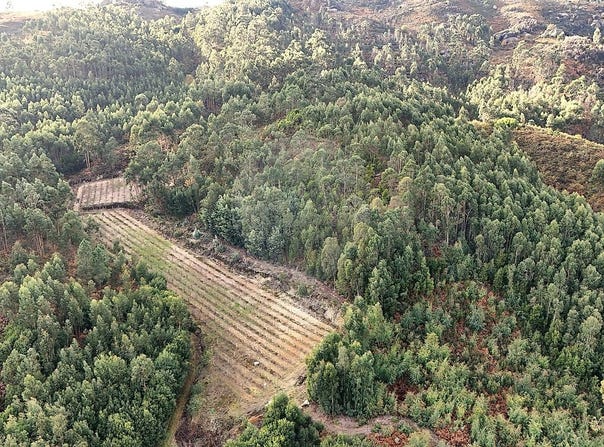 Braga, Braga 4860-122