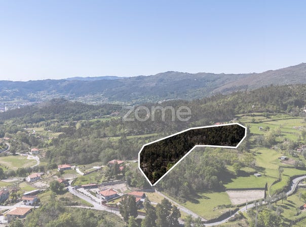 Vieira do Minho, Braga