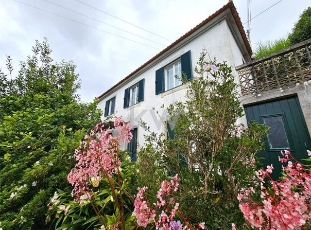 Faial, Madeira 9230