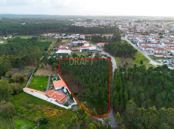 Marinha Grande, Leiria 2430