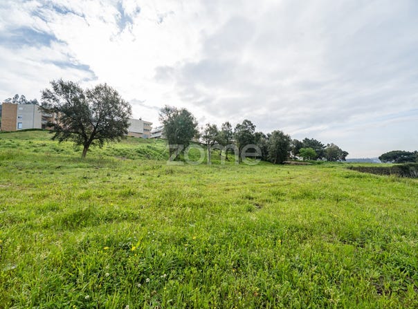 Barcelos, Braga