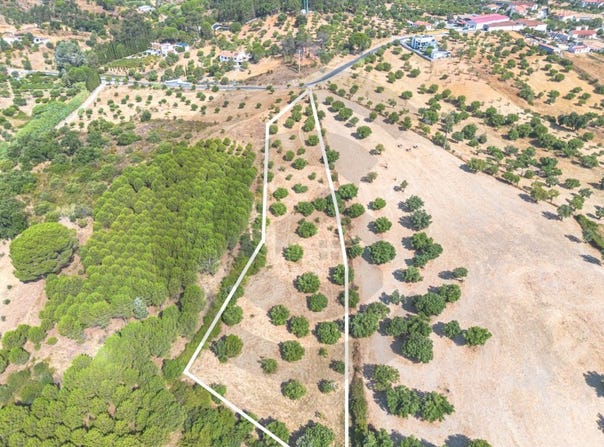 Pedrógão, Santarém District