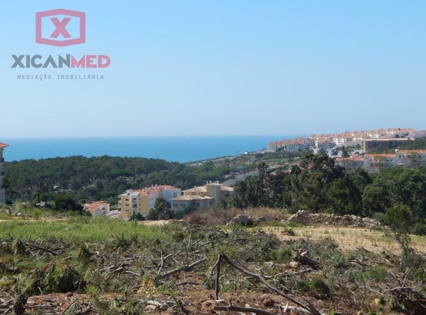 Ericeira, Lisbon 2655