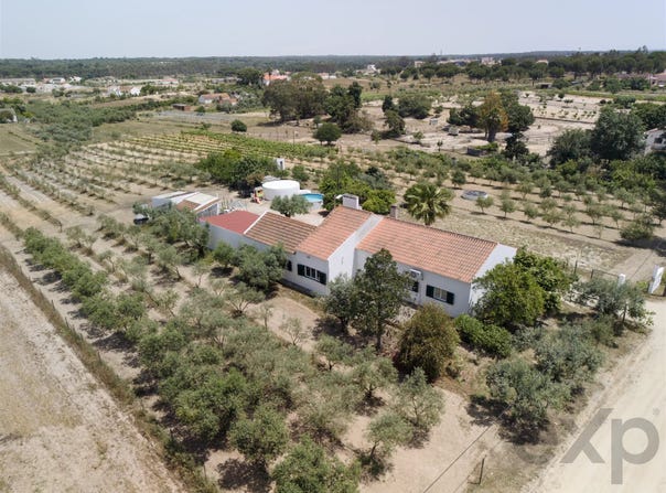 Branca, Santarém 2100