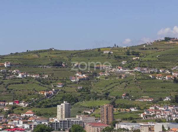 Peso da Régua, Vila Real District
