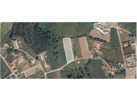 Vila do Conde, Porto 4485-257