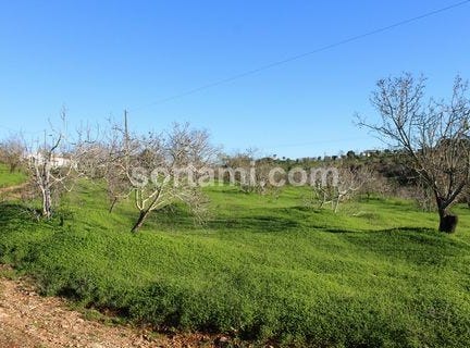 Lagoa (algarve), Faro