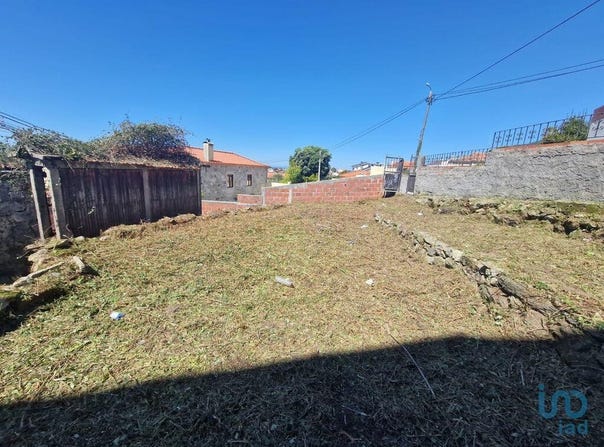 Viana do Castelo, Viana do Castelo District