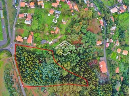 Santa Cruz, Ilha da Madeira 9135