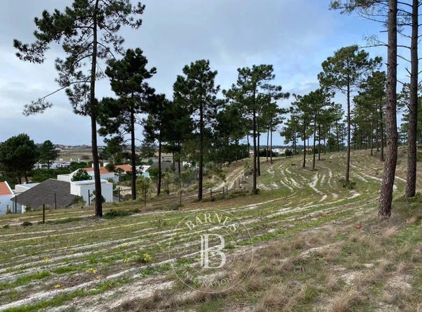 Comporta, Setúbal 7580