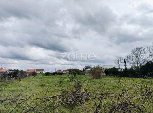 Grândola, Setubal