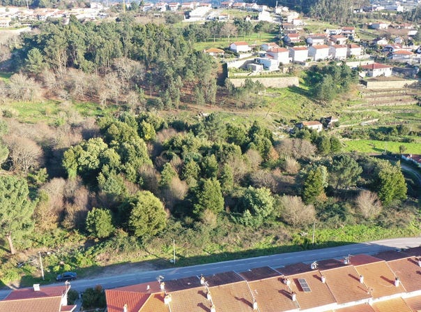 Várzea, Porto District