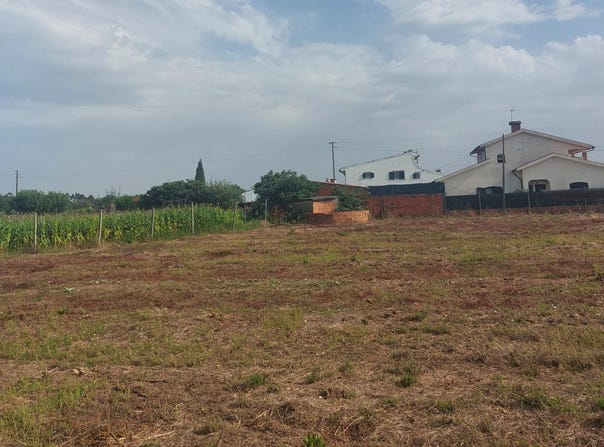 Oliveira do Bairro, Aveiro District 3770-065